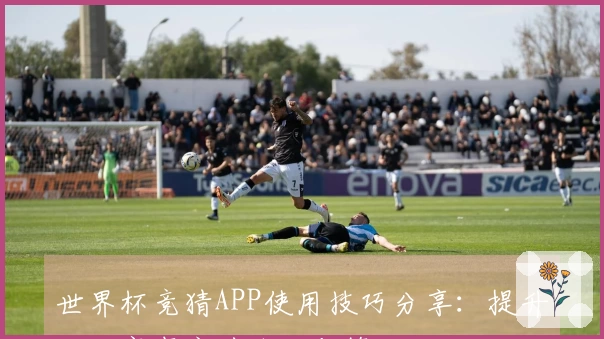 世界杯竞猜APP使用技巧分享：提升你的赛事竞猜体验与策略