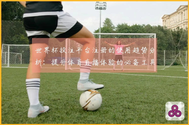 世界杯投注平台注册的使用趋势分析：提升体育直播体验的必备工具