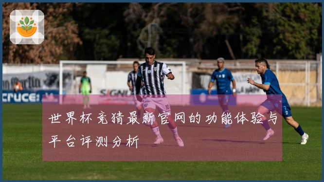 世界杯竞猜最新官网的功能体验与平台评测分析