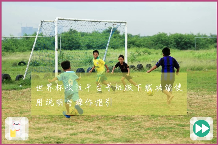 世界杯投注平台手机版下载功能使用说明与操作指引