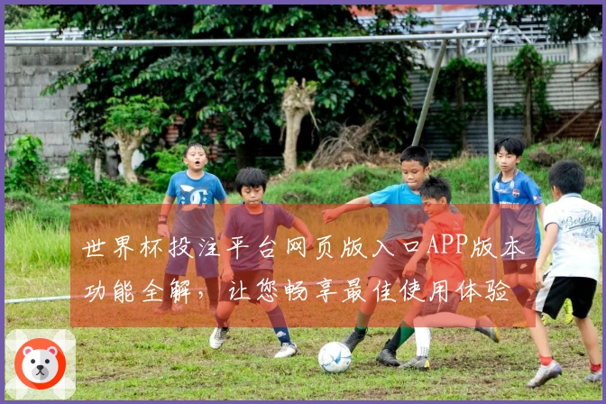 世界杯投注平台网页版入口APP版本功能全解，让您畅享最佳使用体验