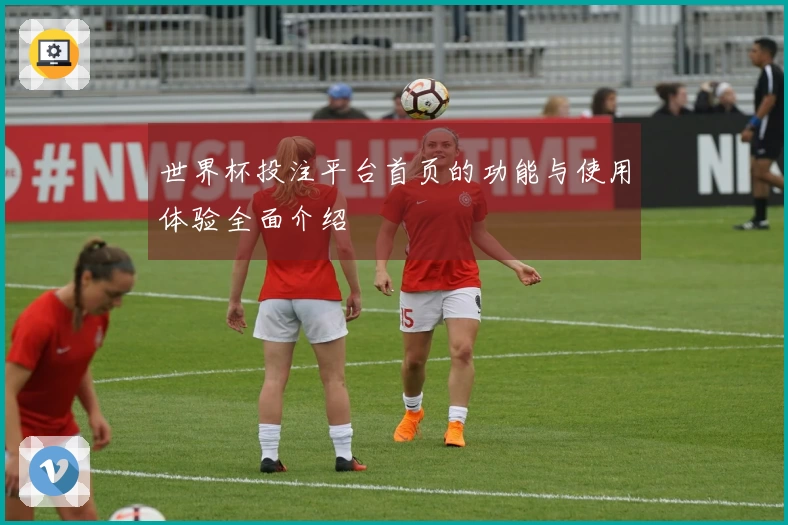 世界杯投注平台首页的功能与使用体验全面介绍