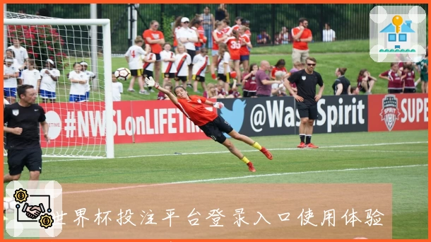 世界杯投注平台登录入口使用体验评测及功能介绍