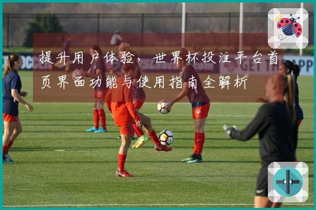 提升用户体验，世界杯投注平台首页界面功能与使用指南全解析
