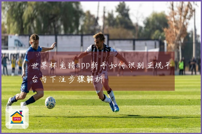 世界杯竞猜app新手如何识别正规平台与下注步骤解析
