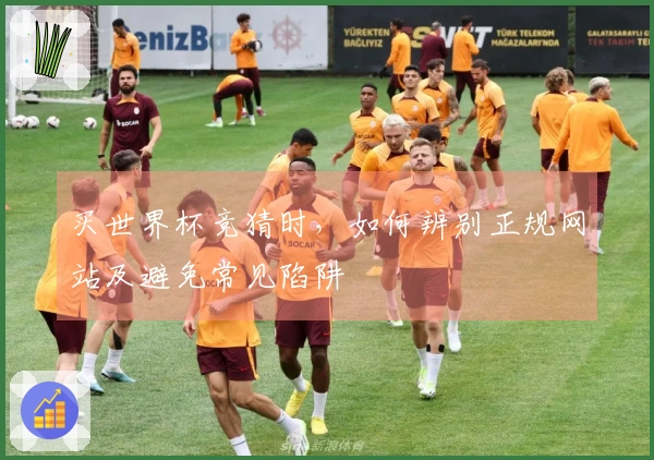 买世界杯竞猜时，如何辨别正规网站及避免常见陷阱