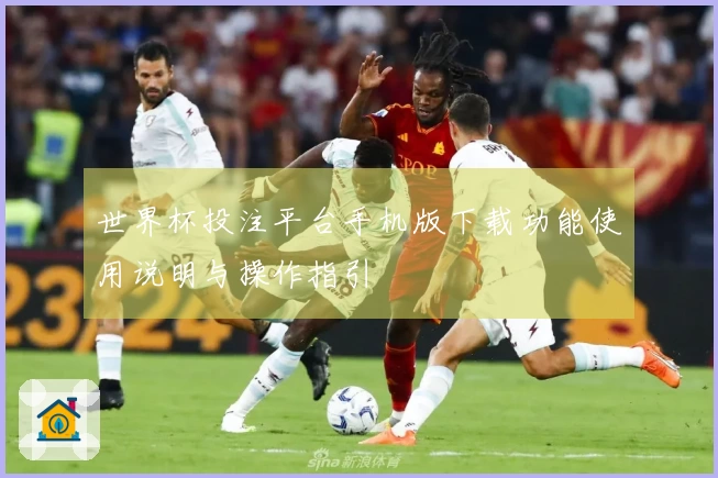 世界杯投注平台手机版下载功能使用说明与操作指引