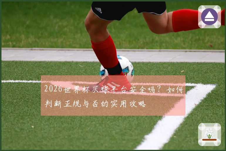 2026世界杯买球平台安全吗？如何判断正规与否的实用攻略