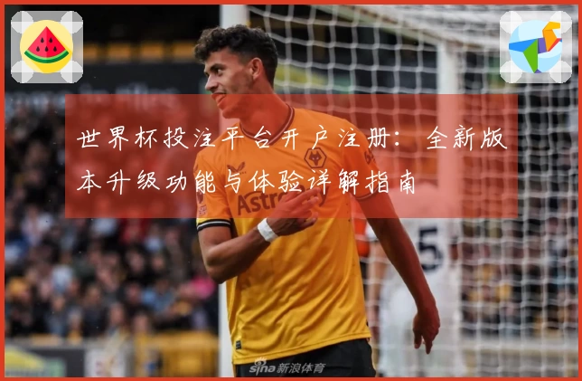 世界杯投注平台开户注册：全新版本升级功能与体验详解指南