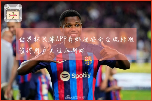 世界杯买球APP有哪些安全合规标准值得用户关注和判断